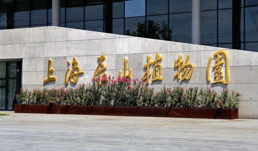 文章附图