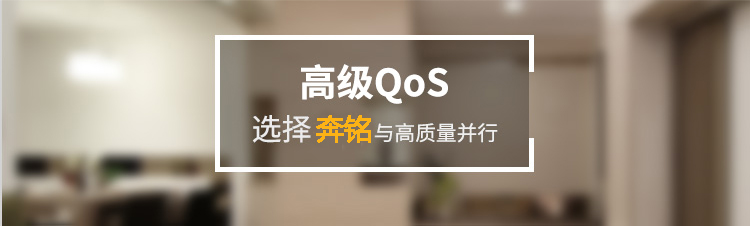 CISCO企业级管理型交换机(图8)