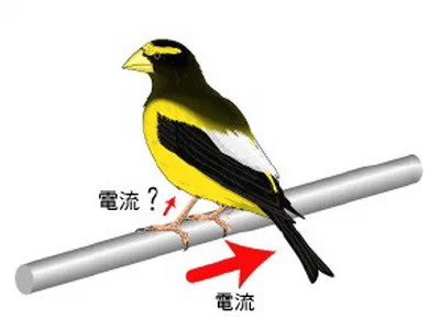 记住了这三条线,你永远都不会触电(图3) 记住了这三条线,你永远都不会触电(图3)