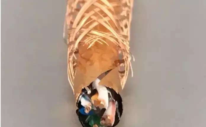 怎么区分双屏网线和非屏蔽网线?什么是超五类双屏蔽网线?(图13) 怎么区分双屏网线和非屏蔽网线?什么是超五类双屏蔽网线?(图13)